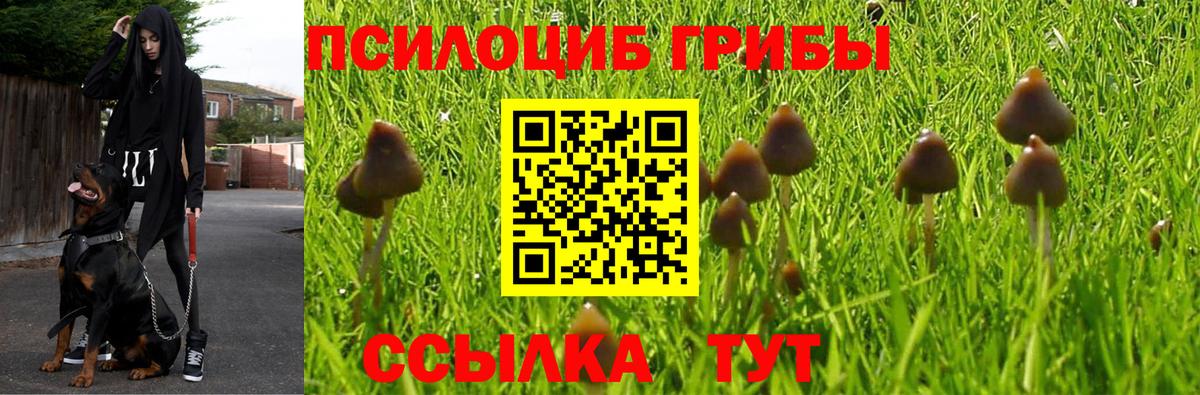 Галлюциногенные грибы мицелий Лыткарино