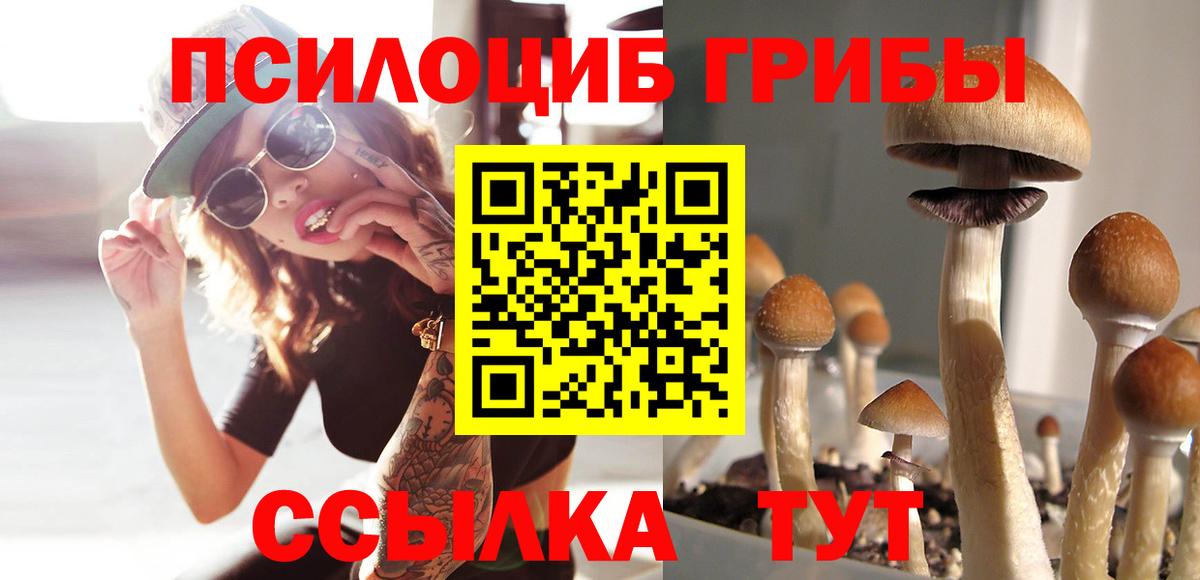 Лыткарино  Галлюциногенные грибы Psilocybe  Галлюциногенные грибы мицелий  Вход с VPN 
